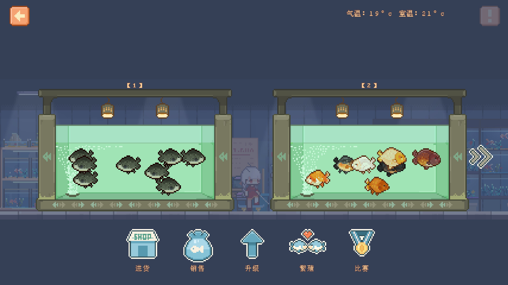 寵物街金魚街 Pet Street Story 圖片